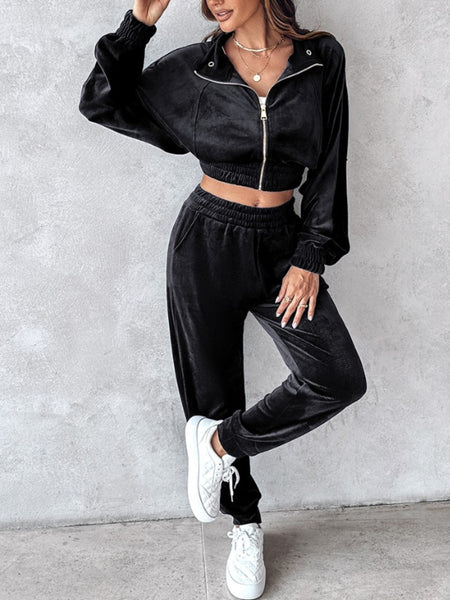 Zip Up Velour Cropped Top and Joggers Set