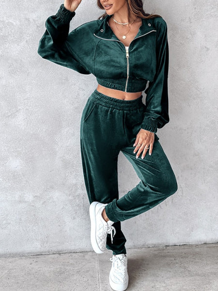 Zip Up Velour Cropped Top and Joggers Set