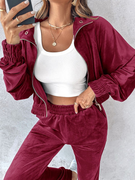 Zip Up Velour Cropped Top and Joggers Set